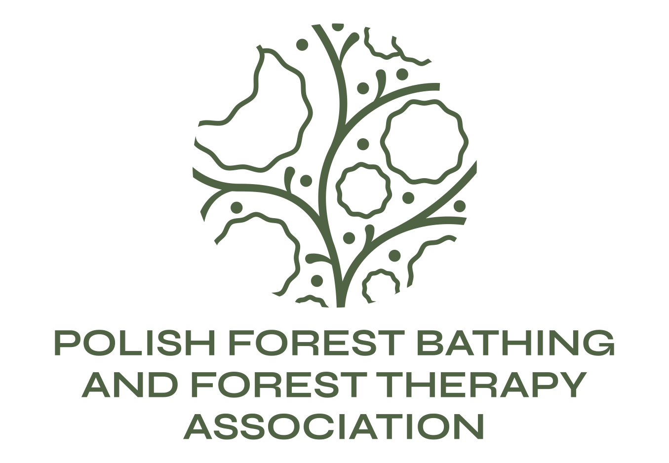 Polish Forest Bathing And Forest Therapy Association